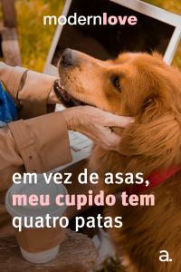 Episódio 6: Em vez de asas, meu cupido tem quatro patas
