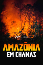 Amazônia em chamas