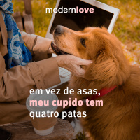 T1E6: Em vez de asas, meu cupido tem quatro patas