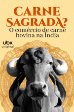 Carne sagrada? - O comércio da carne bovina na Índia