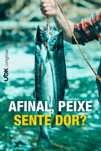 Afinal, peixe sente dor?