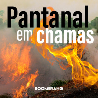 T2E19: Pantanal em chamas