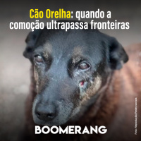 T16E14: Cão Orelha: quando a comoção ultrapassa fronteiras 