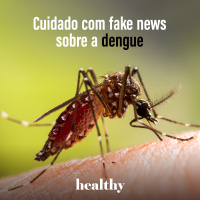 T14E8: Cuidado com fake news sobre a dengue