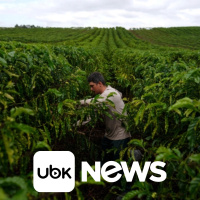 AGRONEGÓCIO - Exportação de café do Brasil pode atingir recorde perto de 47 mi sacas em 26/27, prevê Hedgepoint