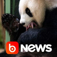 Ubook News - 02/08/2021 - 2ª Edição