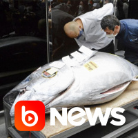 Ubook News - 05/01/2021 - 2ª Edição