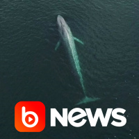 Ubook News - 17/10/2022 - 2ª Edição