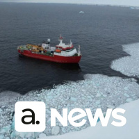 Audimo News - 31/01/2023 - 2ª Edição