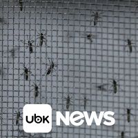 MUNDO - Casos de dengue aumentam nas Américas em possível pior surto da história, diz Opas