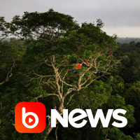 Ubook News - 23/12/2022 - 1ª Edição