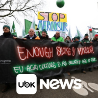 MUNDO - Fogo israelense mata cinco palestinos enquanto Trump tenta avançar com acordo de paz em Gaza