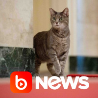 Ubook News - 28/01/2022 - 2ª Edição