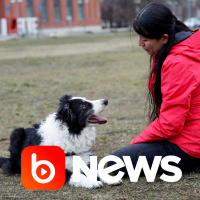 Ubook News - 06/01/2022 - 2ª Edição