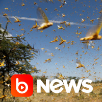 Ubook News - 25/06/2020