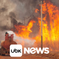 CULTURA - Executiva da Disney conduz empresa a conquistas históricas no Emmy