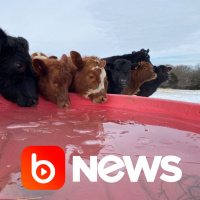 Ubook News - 18/02/2021 - 2ª Edição