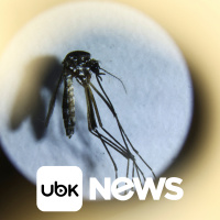 MUNDO - Opas cita “situação emergencial” e reporta aumento de quase 50% nos casos de dengue nas Américas