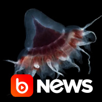 Ubook News - 30/08/2022 - 1ª Edição