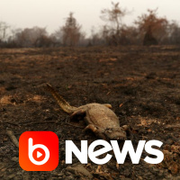 Ubook News - 01/10/2020 - 2ª Edição