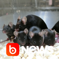 Ubook News - 15/06/2021 - 2ª Edição