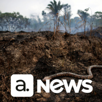 Audimo News - 07/04/2023 - 2ª Edição