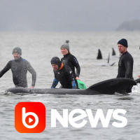 Ubook News - 22/09/2020 - 2ª Edição
