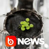 Ubook News - 12/05/2022 - 2ª Edição