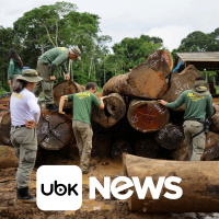 BRASIL - Brasil combate exploração ilegal de madeira em grande operação na Amazônia