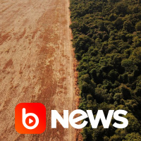 Ubook News - 28/04/2022 - 1ª Edição