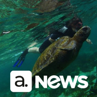 Audimo News - 17/03/2023 - 2ª Edição