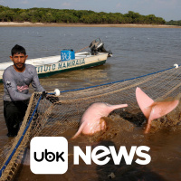 BRASIL - Pesquisadores estudam impacto de mudanças climáticas sobre botos amazônicos ameaçados pela seca