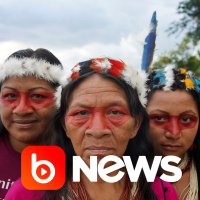 Ubook News - 16/11/2021 - 2ª Edição