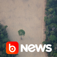 Ubook News - 16/09/2020 - 2ª Edição