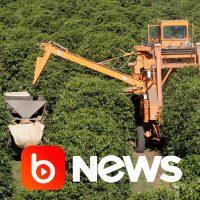 Ubook News - 14/12/2020 - 2ª Edição