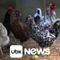 BRASIL - Justiça volta a suspender serviço de mototáxi em São Paulo