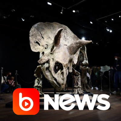 Diário de Notícias