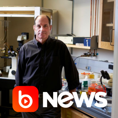 Diário de Notícias