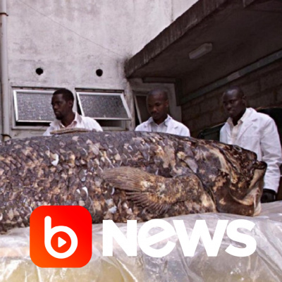 Diário de Notícias