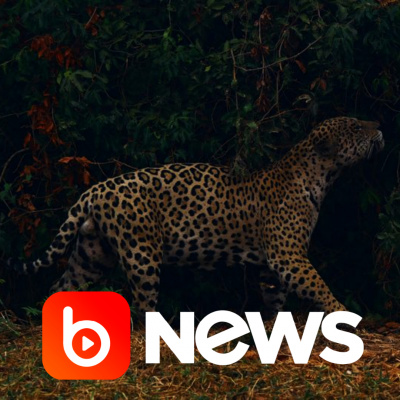 Diário de Notícias