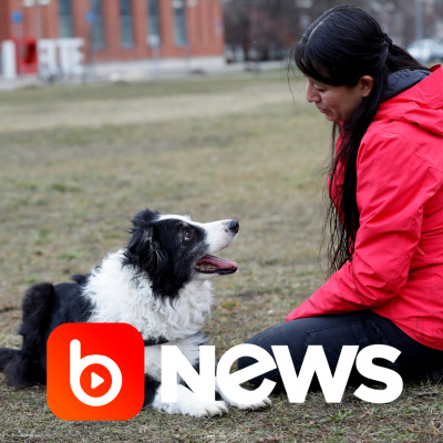 Diário de Notícias