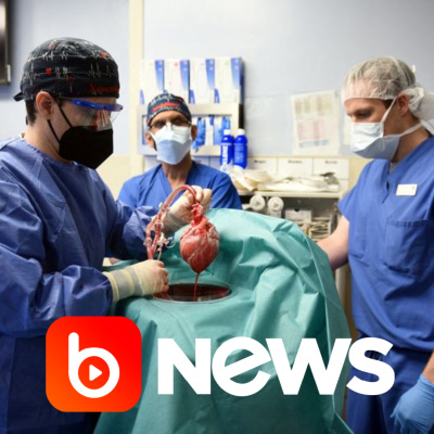 Diário de Notícias