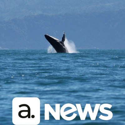 Diário de Notícias