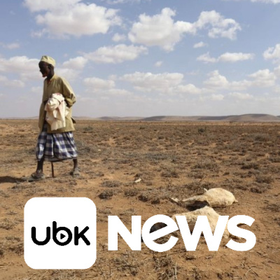 Diário de Notícias