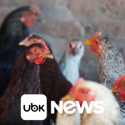 Diário de Notícias