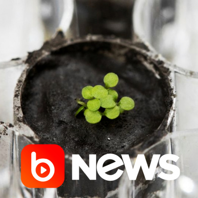 Diário de Notícias