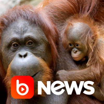 Diário de Notícias