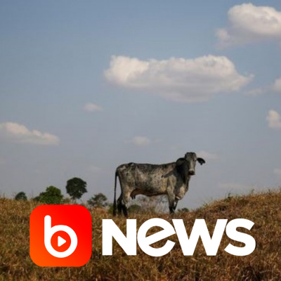 Diário de Notícias