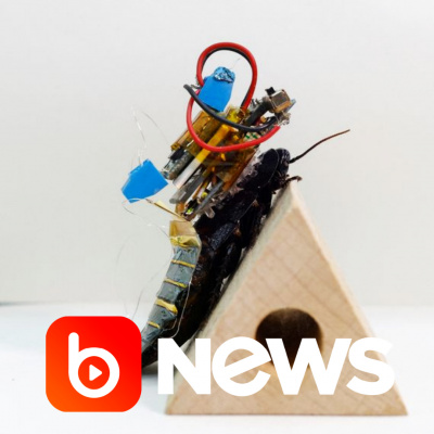 Diário de Notícias